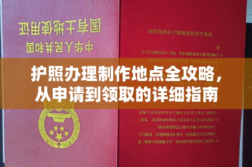 龙华护照办理制作地点全攻略，从申请到领取的详细指南