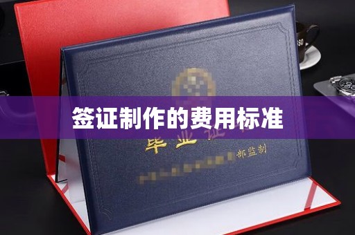 龙华签证制作的费用标准