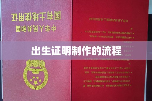 龙华出生证明制作的流程