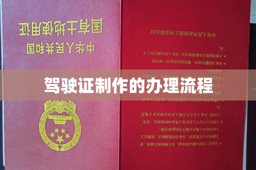 龙华驾驶证制作的办理流程