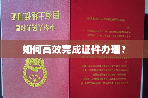 龙华如何高效完成证件办理？