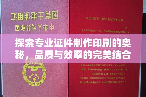 龙华探索专业证件制作印刷的奥秘，品质与效率的完美结合