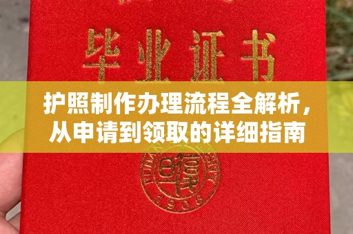 龙华护照制作办理流程全解析，从申请到领取的详细指南