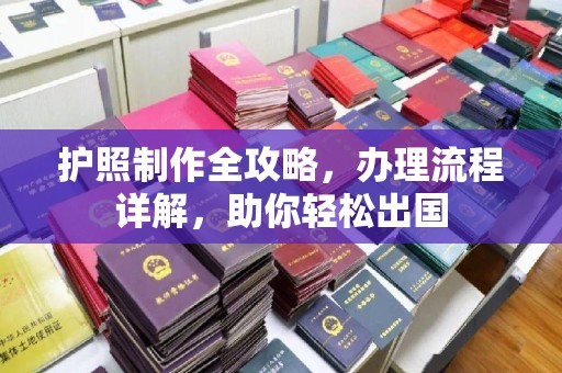 龙华护照制作全攻略，办理流程详解，助你轻松出国