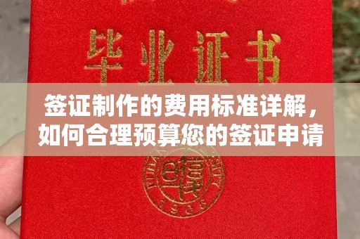 龙华签证制作的费用标准详解，如何合理预算您的签证申请成本